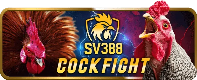 Chương trình VIP 868vip code